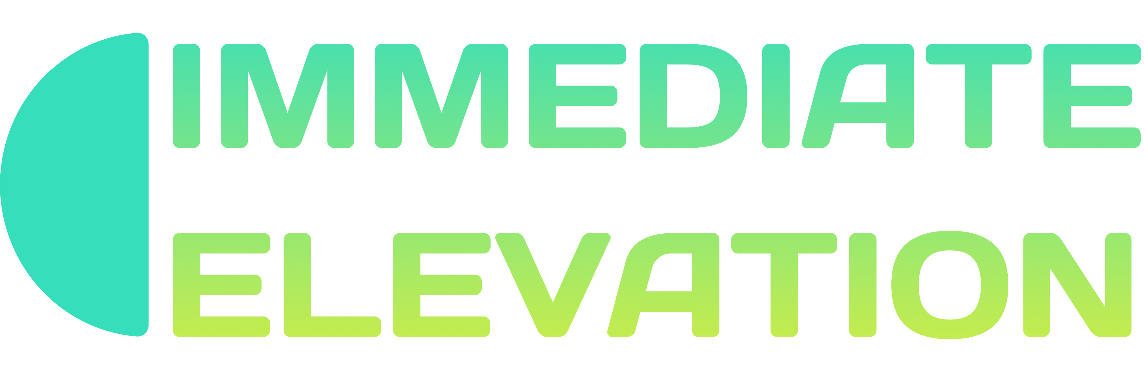 Immediate Elevation Logo